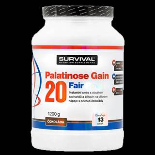Survival Palatinose Gain 20 Fair Power 1200 g