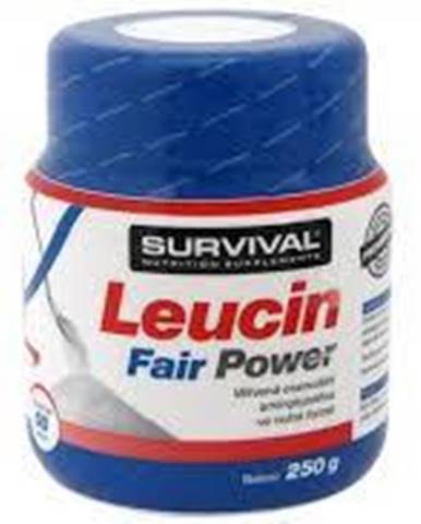 Survival Leucin Fairing Power 250 g 250g