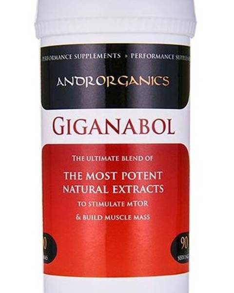 www.protein.sk Giganabol - Androrganics 90 g